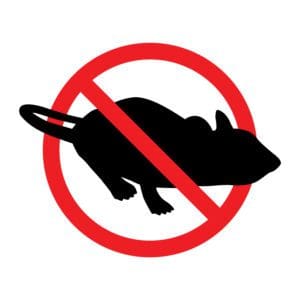 Rat Proofing Slough